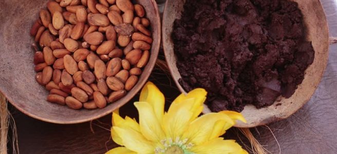 Raw cacao seeds and ground cocoa nibs
